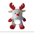 Custom LED Light Toy Plush Toy